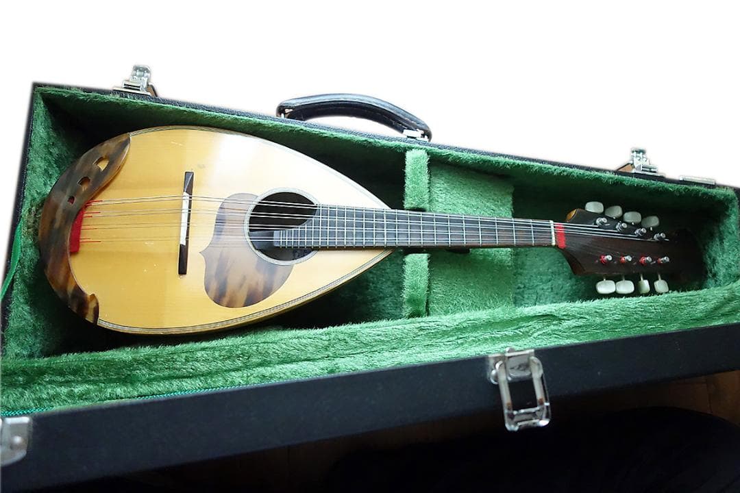 カラーチェ マンドリン RAFFAELE CALACE TYPE24 Z22