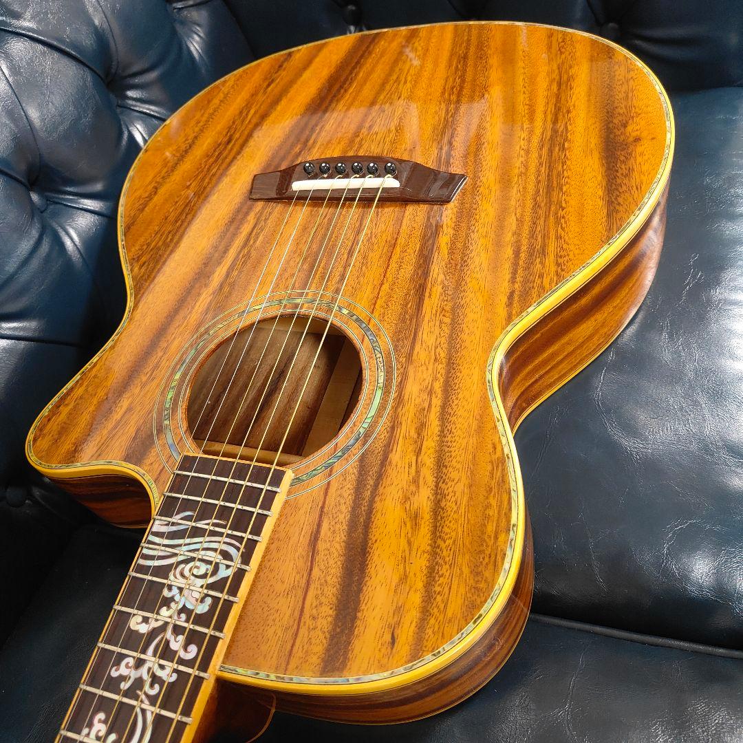 豪華アバロン！オールコア単板 アコースティックギター 龍インレイ フルコア 希少