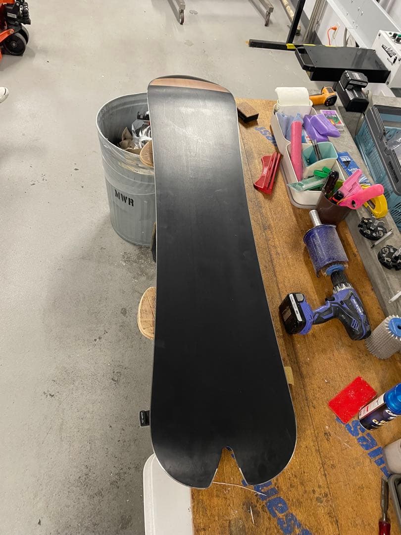 TJ brand ナポレオンフィッシュ