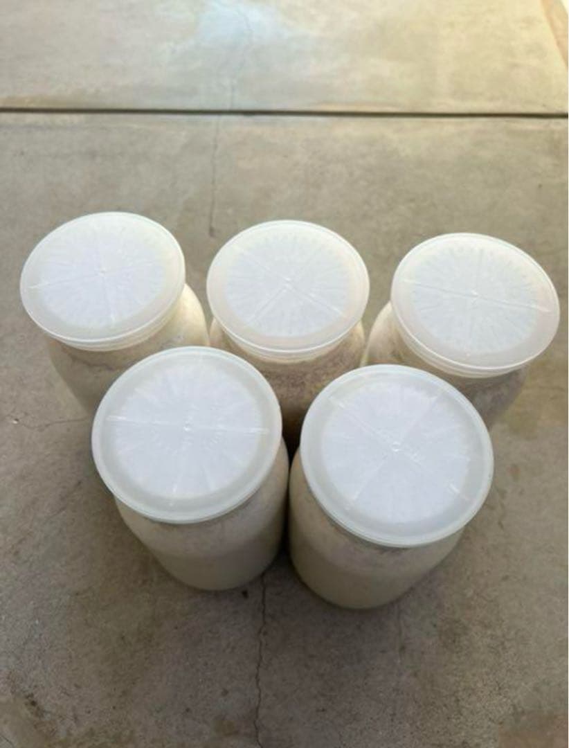 カワラ菌糸瓶1100 １０本