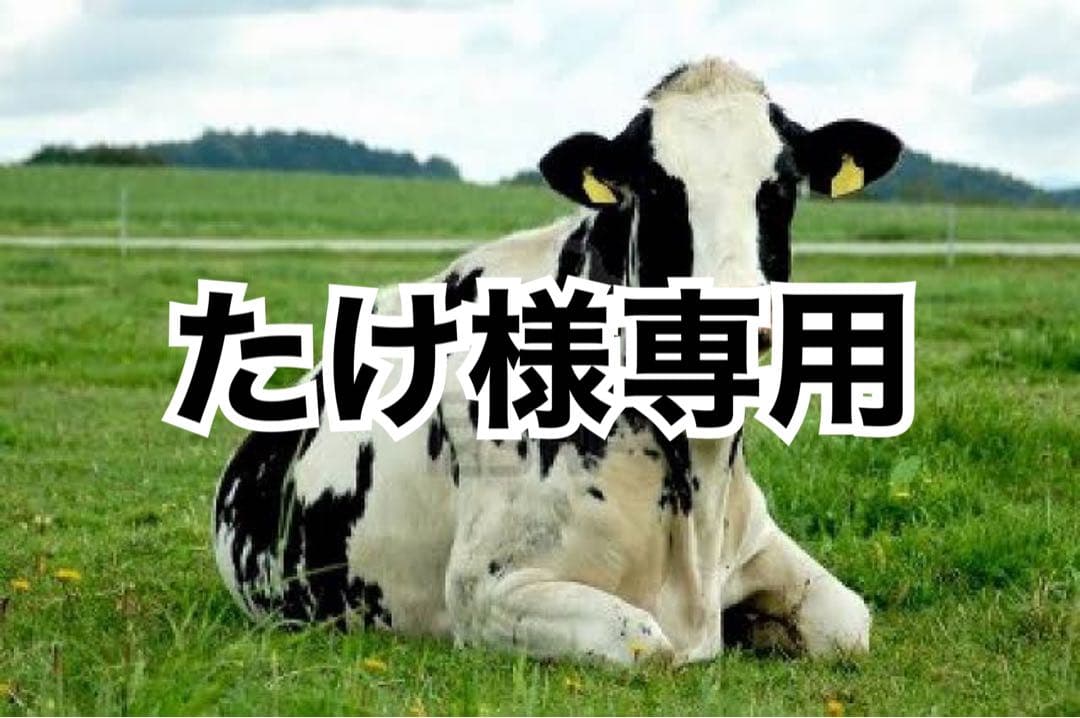 ヘリ革　赤　30m