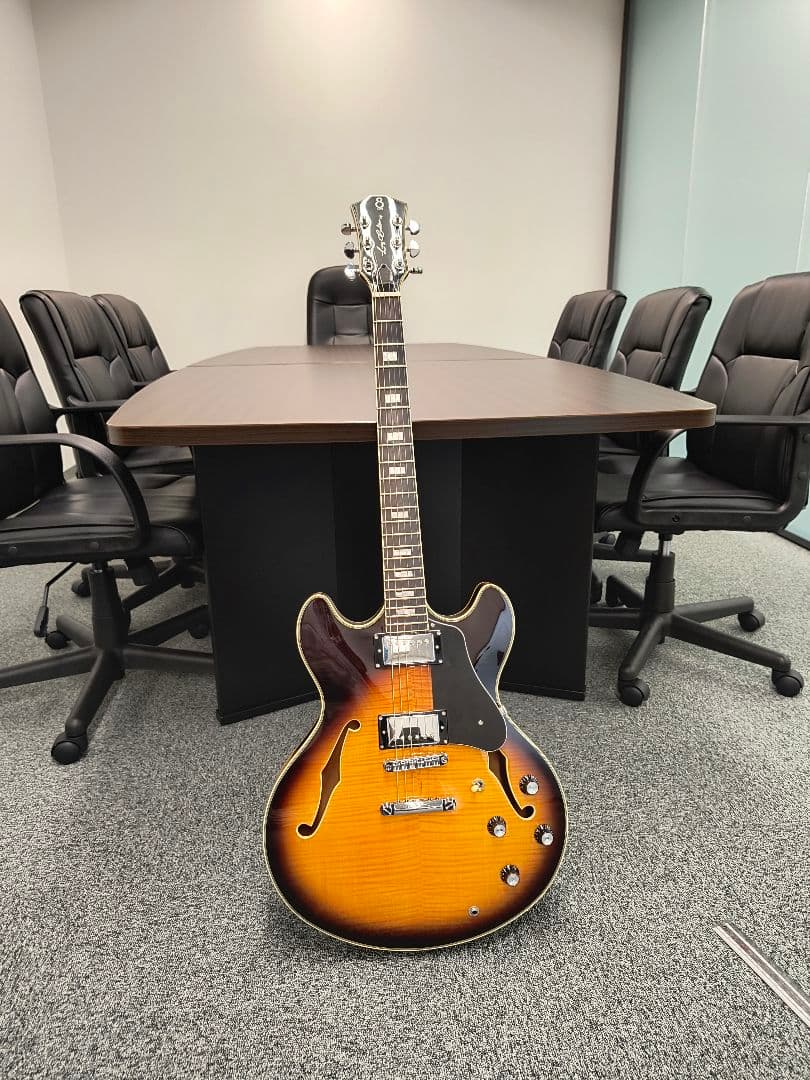 m*6様 サイアー　ラリーカールトン　サンバースト セミホロウボディ