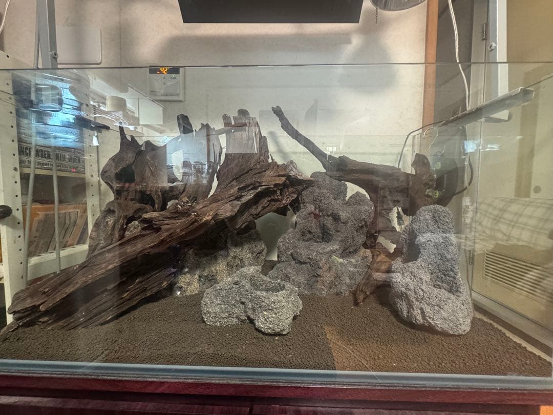 水槽用流木と雲山石セット