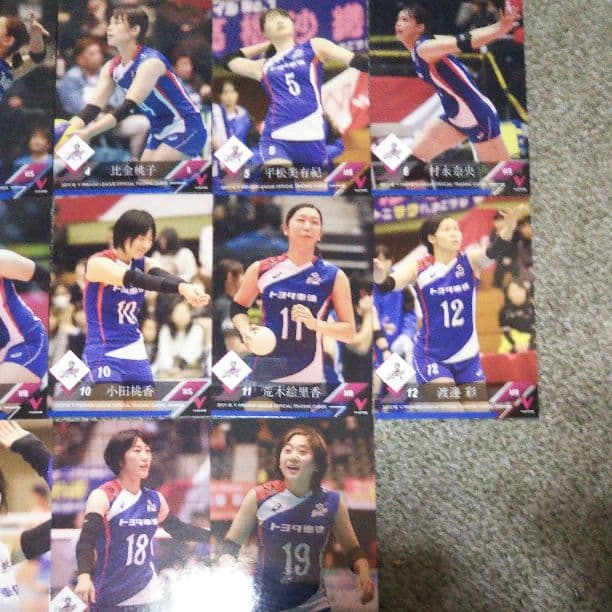 ドラゴンボールカード V.LEAGUE17/18