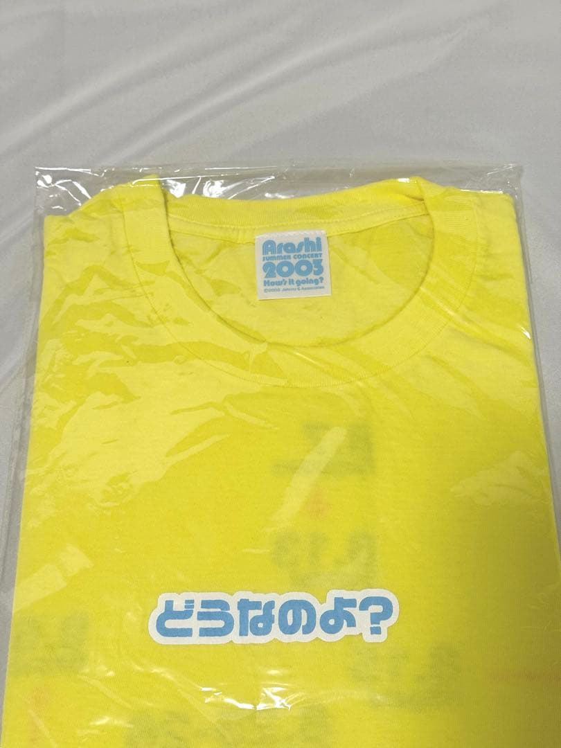 嵐 2003 how’s it going? ボイス付きパンフレット＋Tシャツ