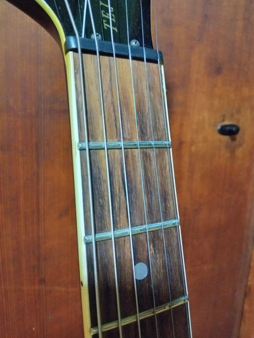 FERNANDES TEJ-70　ジャンク