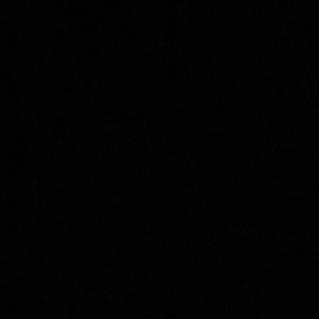 RAKUDO リボーン チャームコレクション