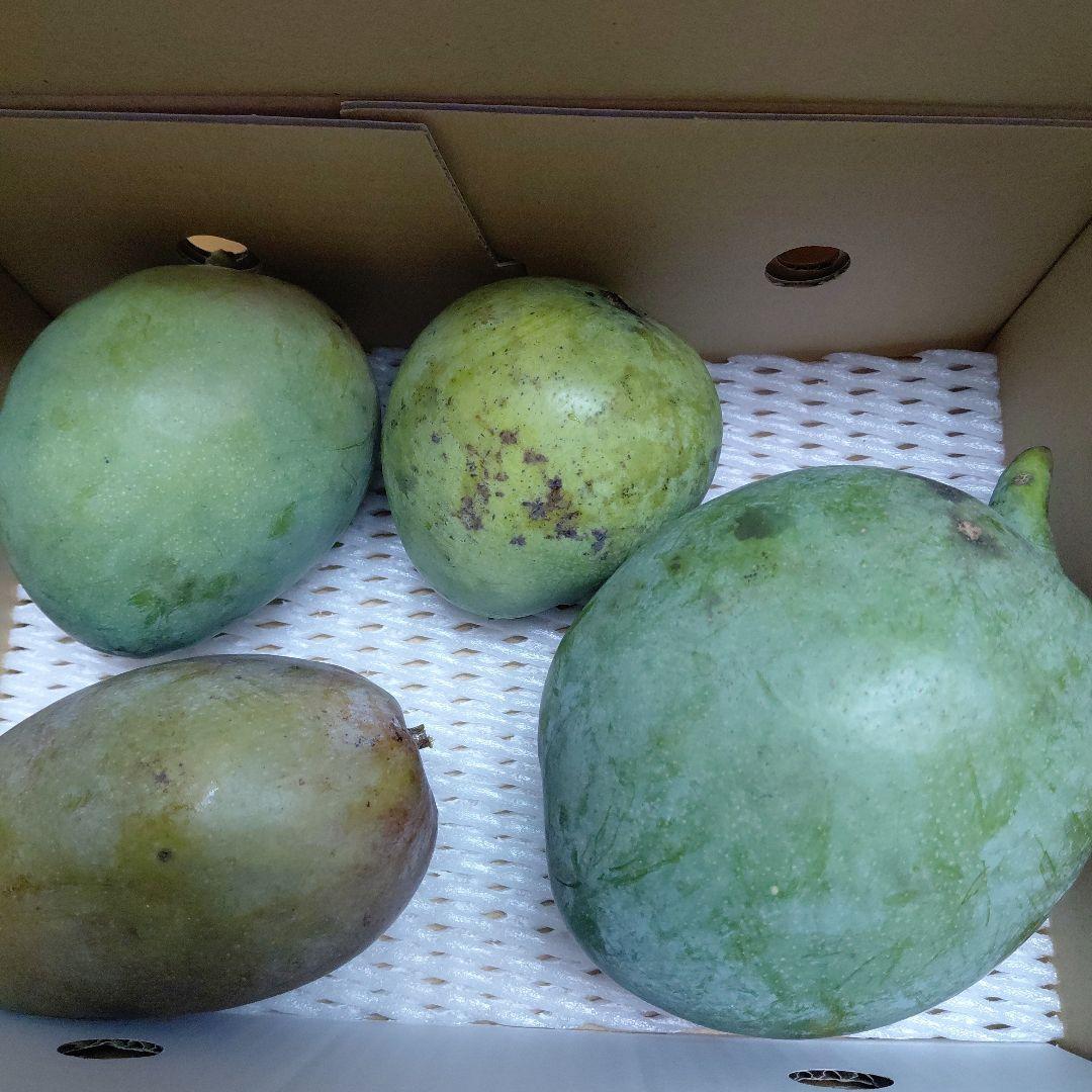 追熟型①と②　色々マンゴー食べ比べセット