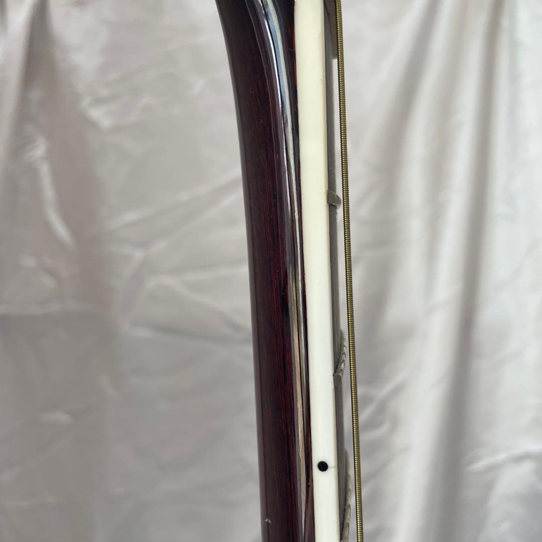 ✨James j-500a/ova nat✨　エレアコ仕様　ソフトケース他付き