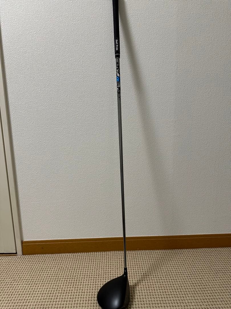 ⭐︎稀少　grindworks EQUINOX ドライバー 10度