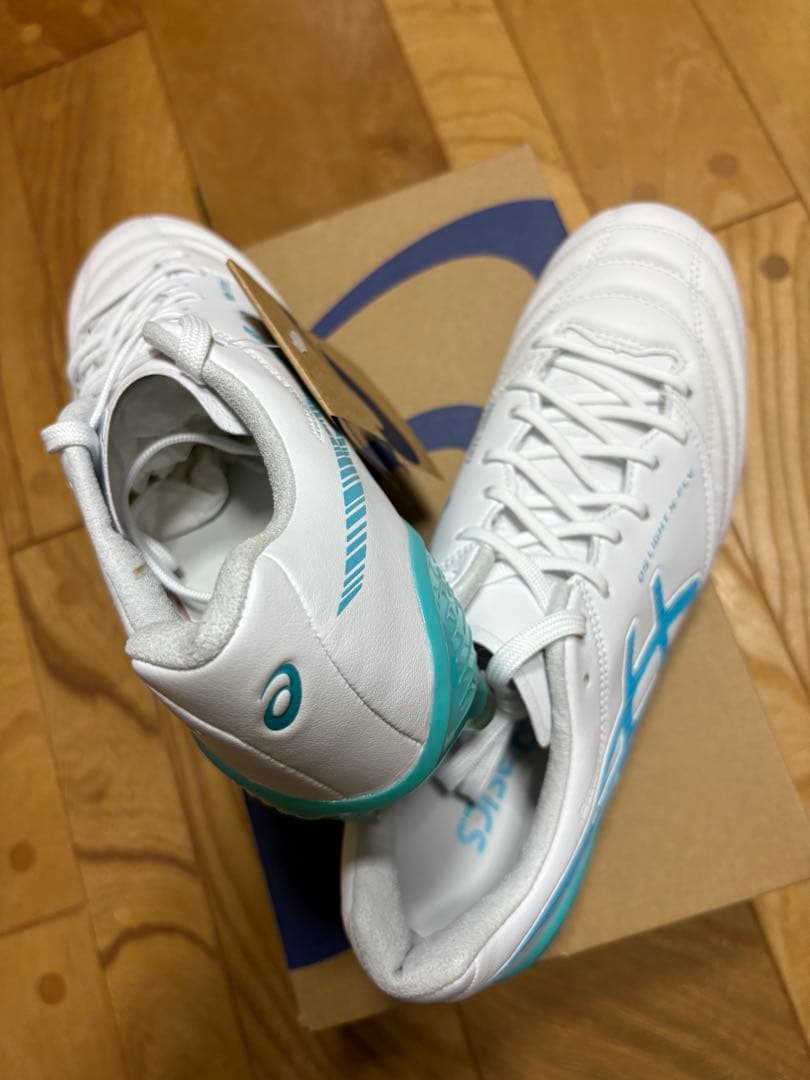 新品　限定カラー　大特価　アシックス　DSライト X-FLY5 25cm