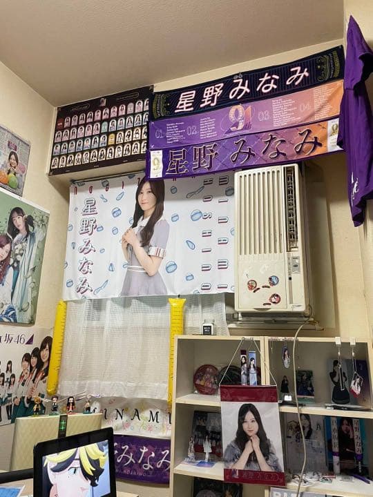乃木坂46 星野みなみちゃんグッズ