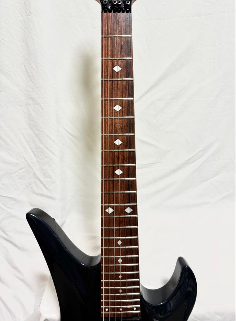 【新品弦張替済】Progauge 7弦ギター フロイドローズ シェクター