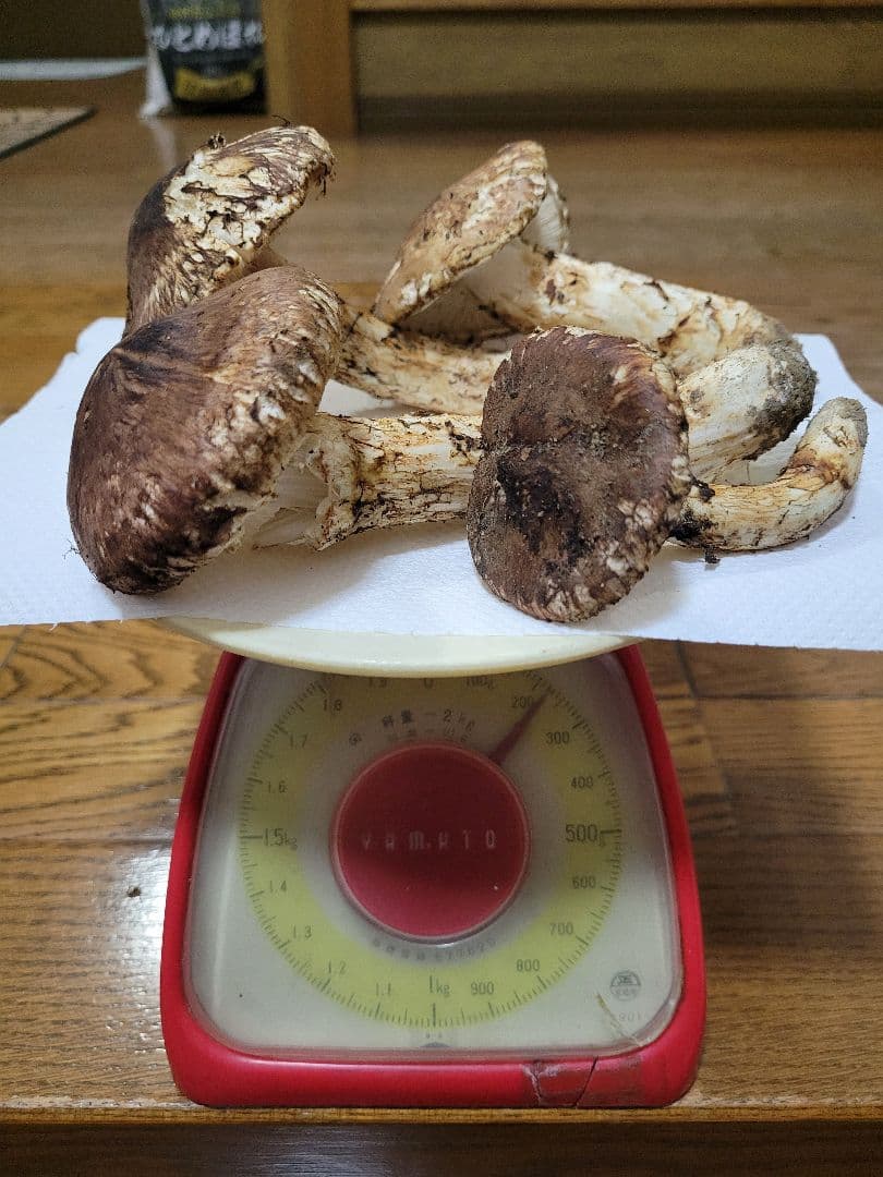 国産　岩手県産　松茸　220g