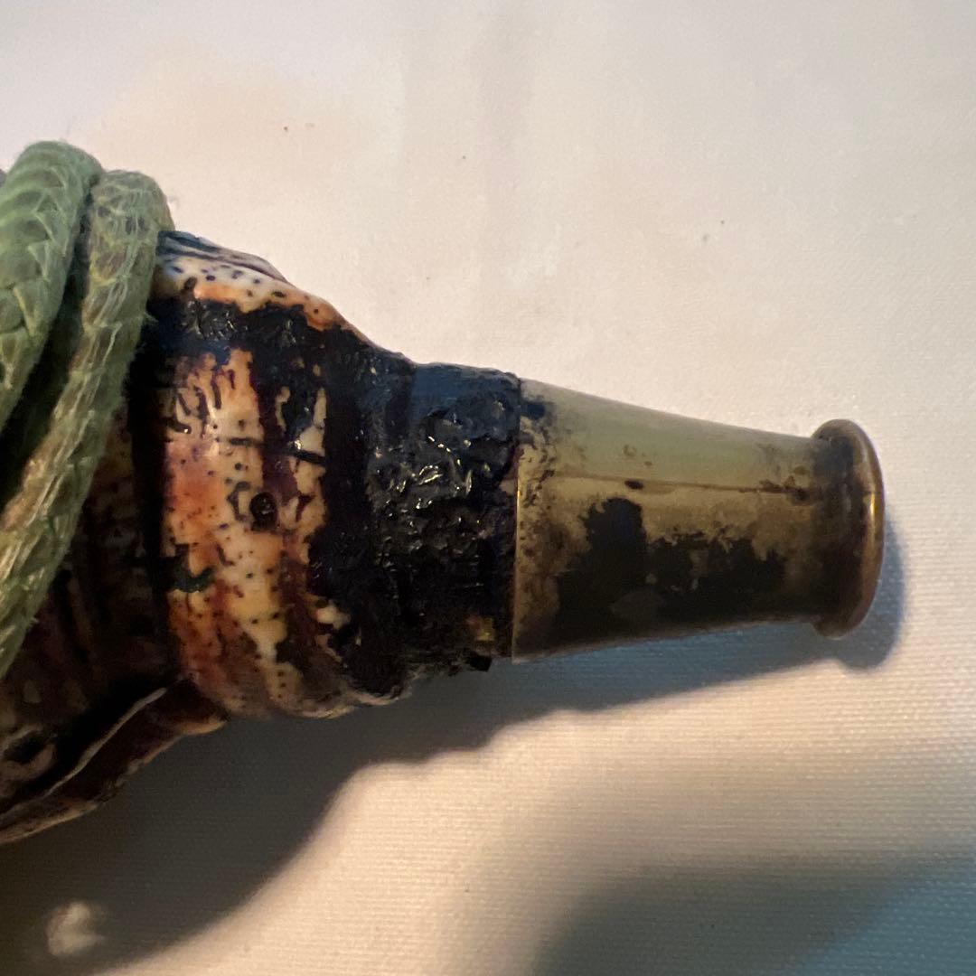 法螺貝　自然な巻貝装飾品 約34cm