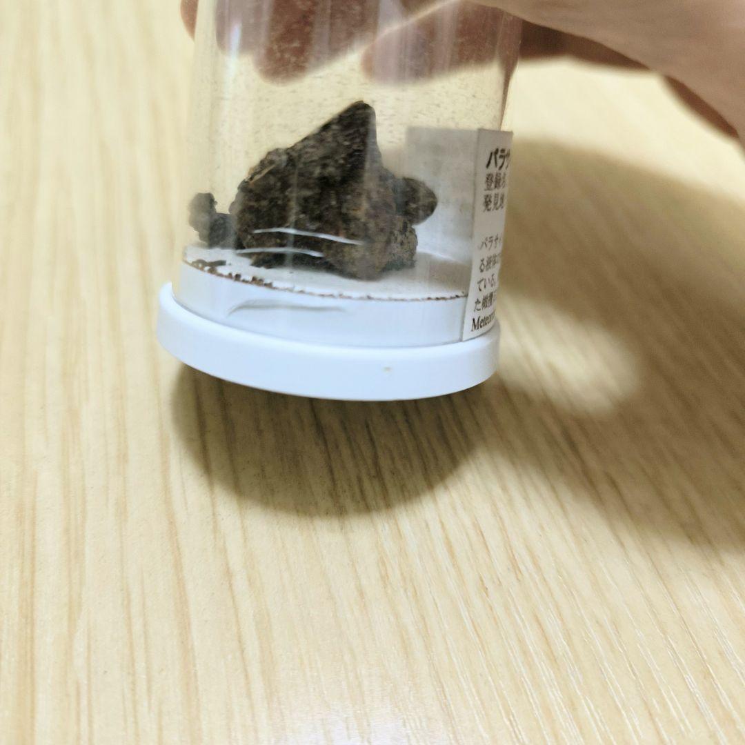 【希少】パラサイト石鉄隕石 (Pallasite) 標本 Sericho