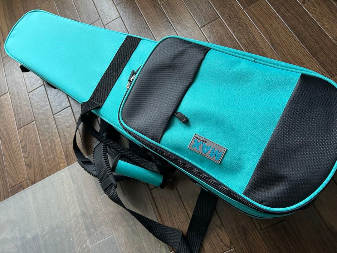 レイニ　Pretorio EV-300