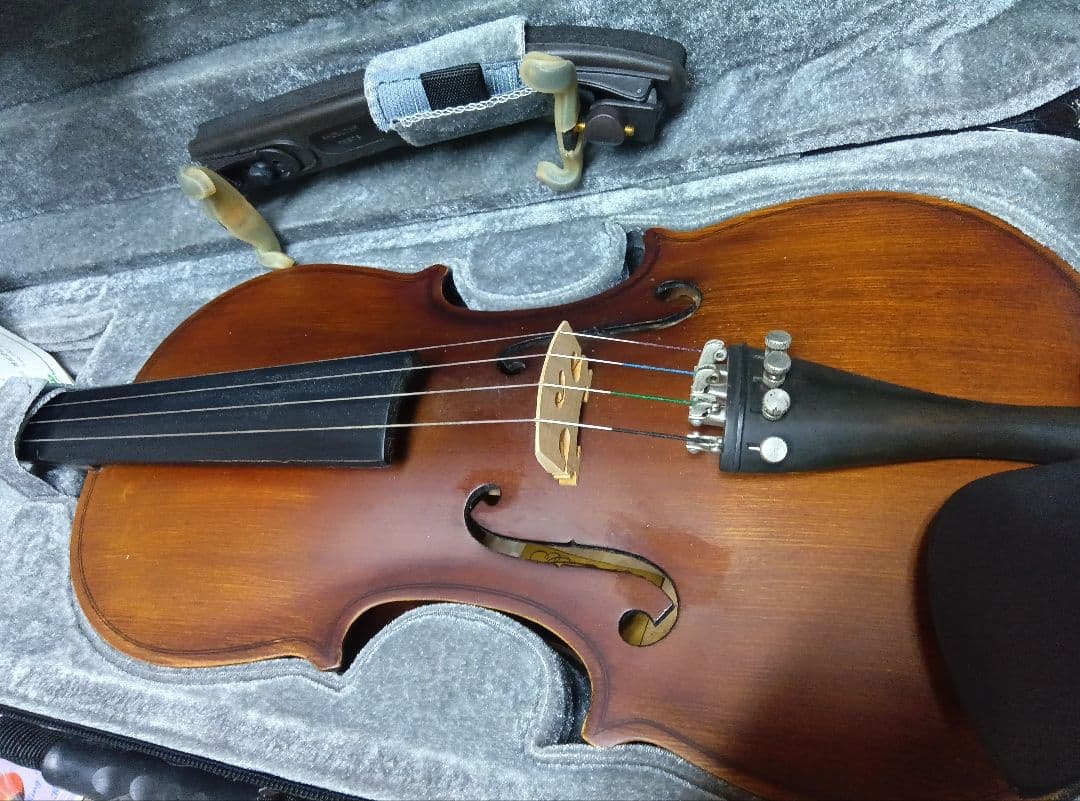wakoハルシュタット　 バイオリン