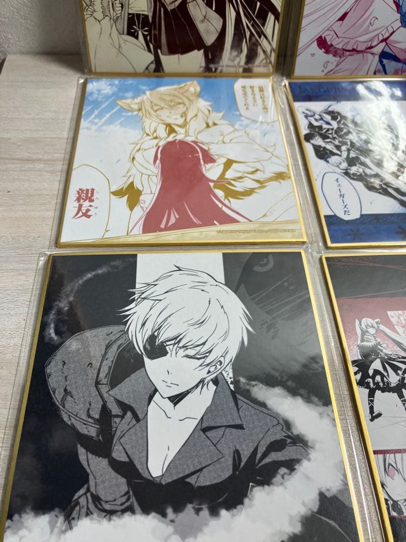 アカメが斬る！　推しちゃれ　色紙　10種セット　エスデス　アカメ