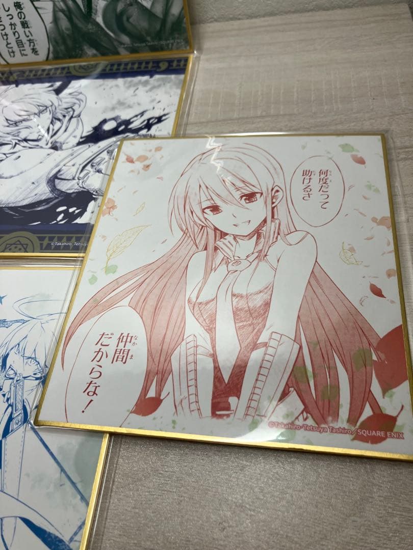 アカメが斬る！　推しちゃれ　色紙　10種セット　エスデス　アカメ