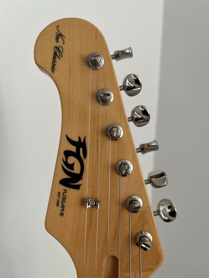 Fujigen NTE100MAHTL WB テレキャスターシンライン レフティ