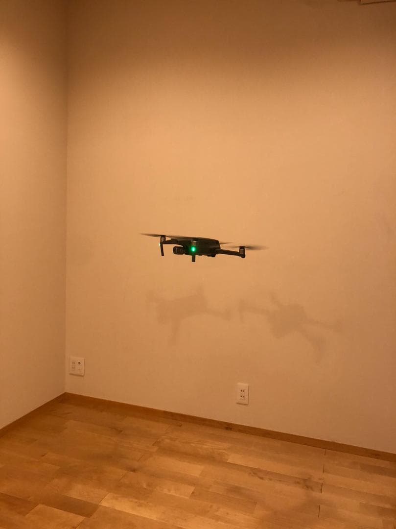 ホビーラジコン Mavic 2 pro + Fly more kit+ DJI Goggles