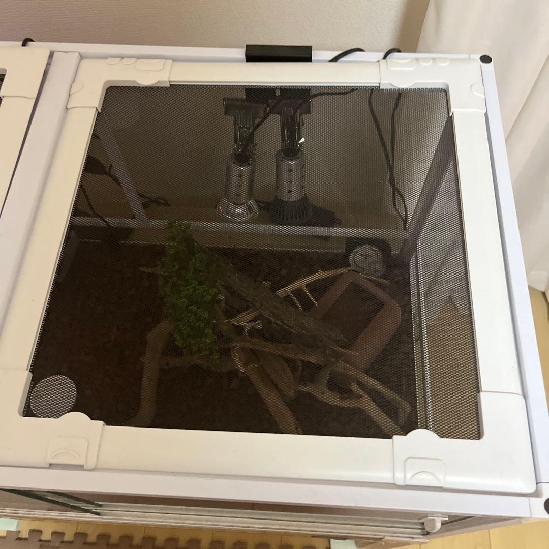 爬虫類・両生類用飼育ケージ パンテオン9045ホワイト　千葉県　発送不可