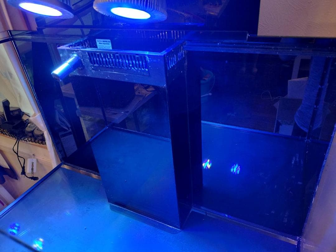 レッドシー　リーファ　２５０　水槽セット