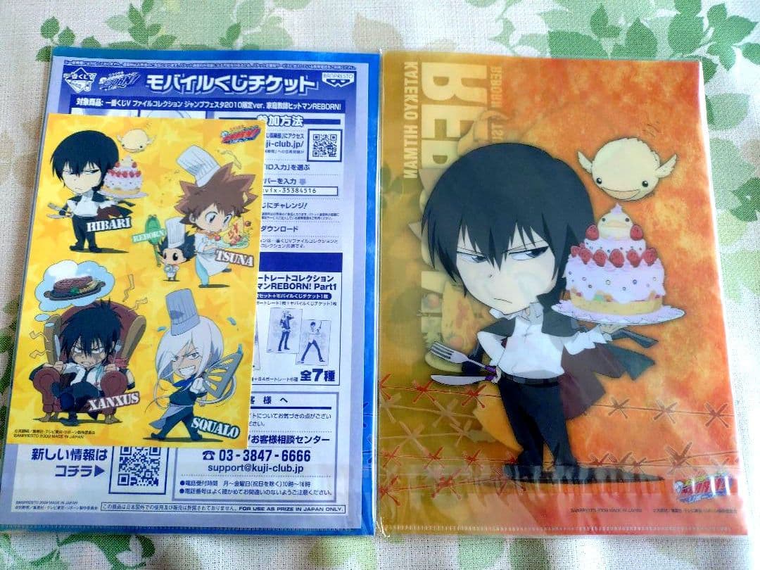 REBORN　沢田綱吉 リボーン xanxus スクアーロ　クリアファイル
