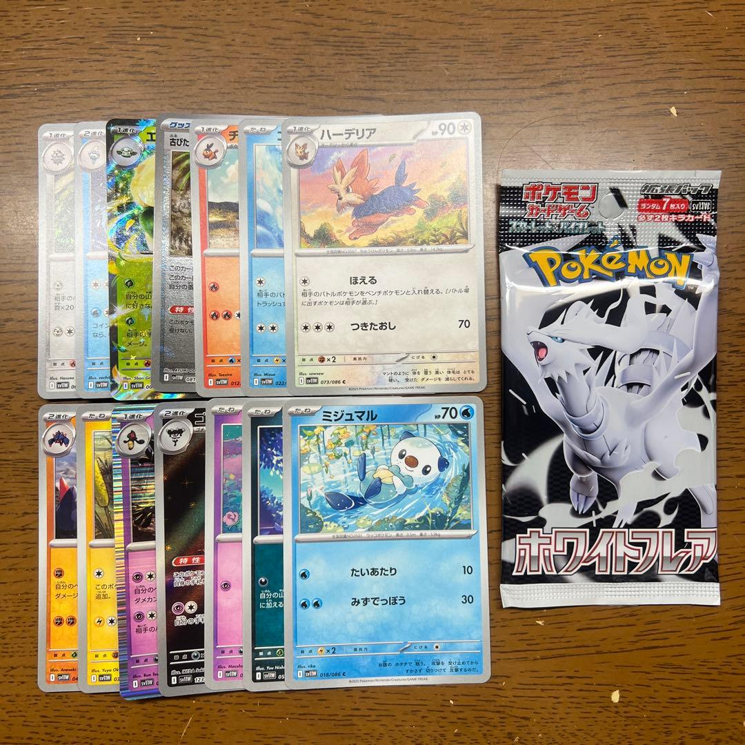 【匿名発送】MEGAドリームex （メガドリームイーエックス）