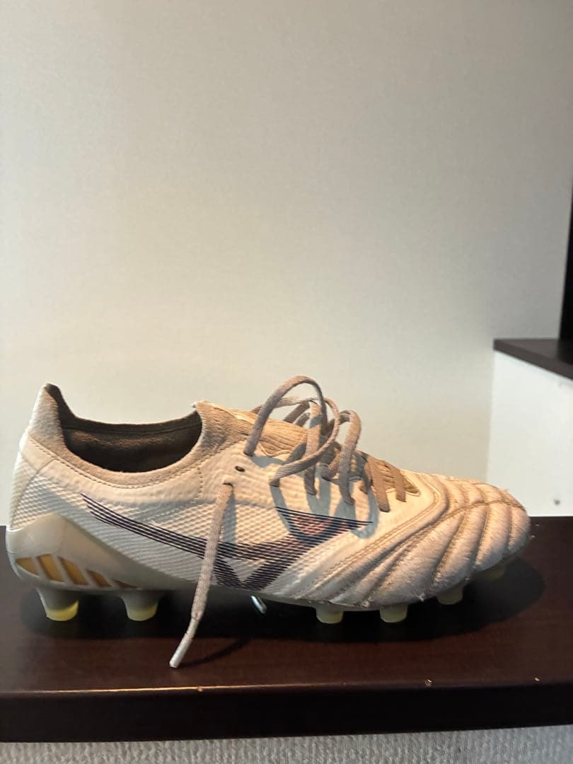 モレリアネオ3 β