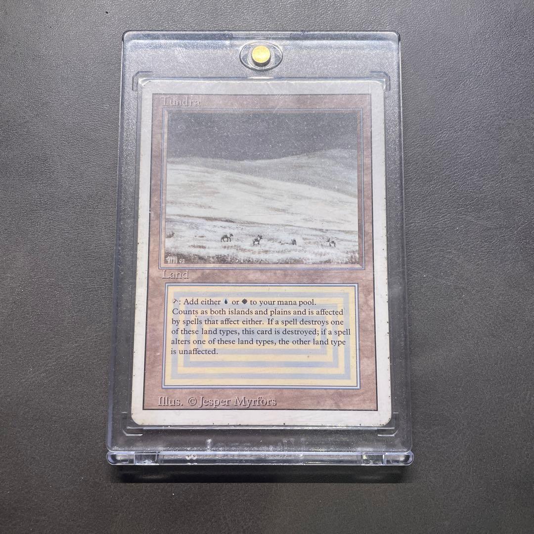 マジック：ザ・ギャザリング Tundra