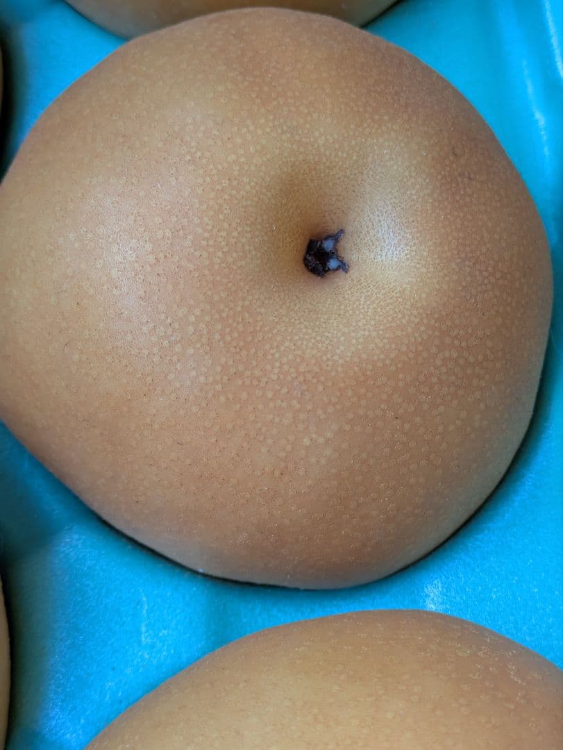 はる♡２箱♡南水梨♡大きめサイズ♡10玉入♡５kg箱入♡