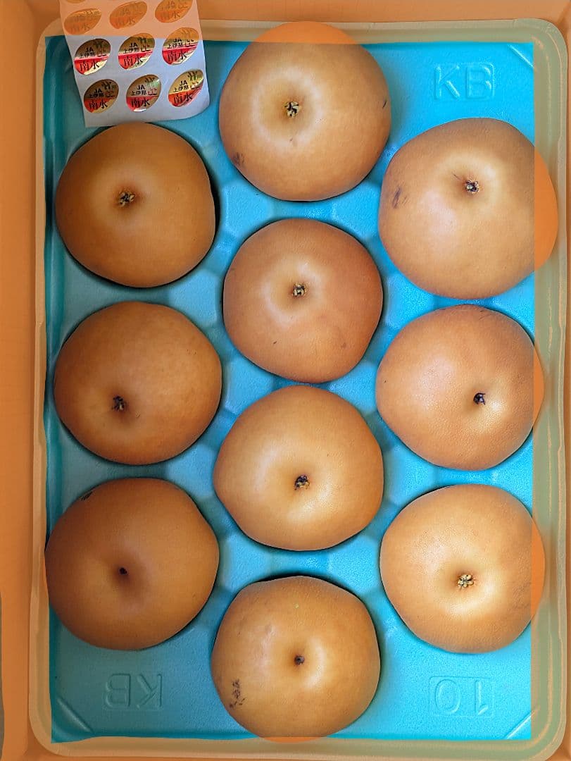 はる♡２箱♡南水梨♡大きめサイズ♡10玉入♡５kg箱入♡