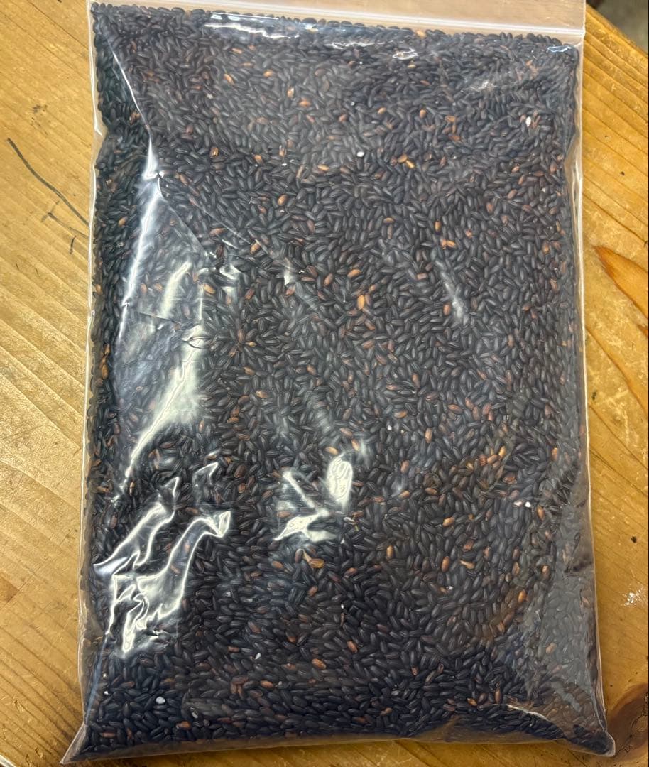 7年度愛知県産 黒米 10Kg