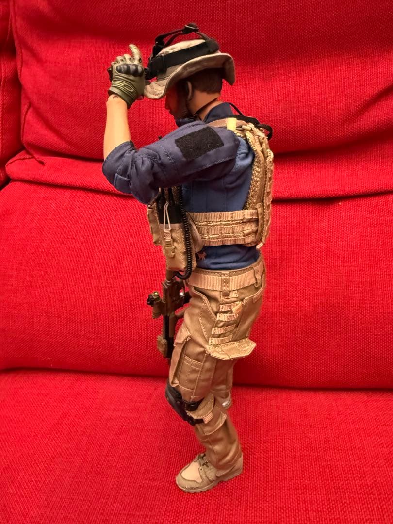 ケ*ム様 flagset verycool hottoys damtoys 1/