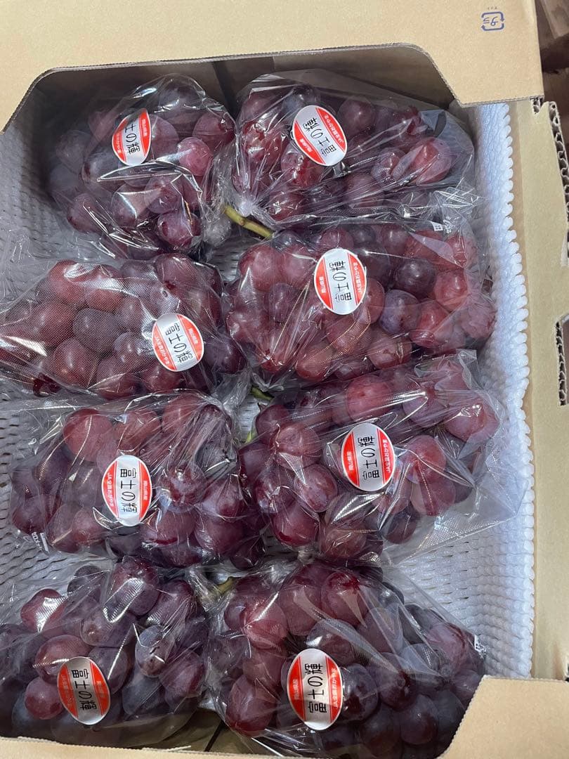 11【岡山県産】富士の輝　約5キロ