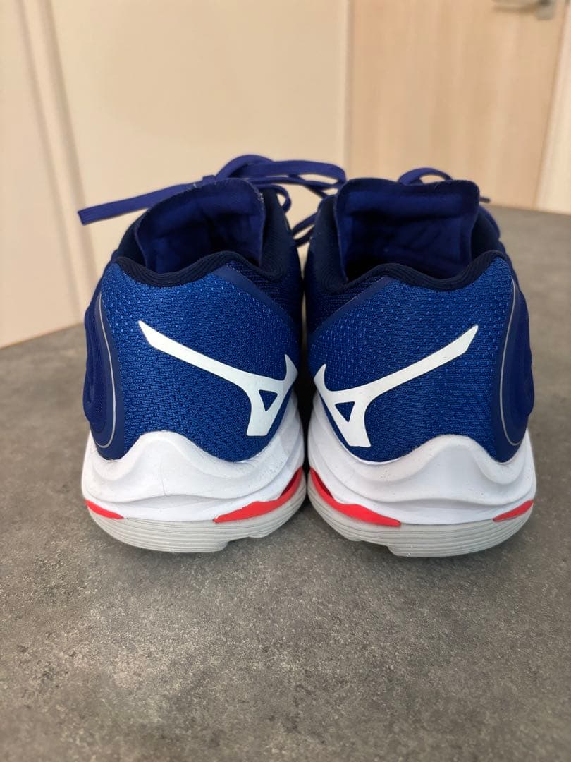 Mizuno Wave Lightning Z6 バレーボールシューズ