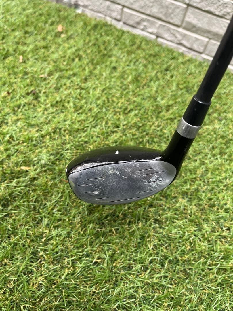 ワールドイーグル F-01α Rフレックス 10本セット＋スリクソンドライバー