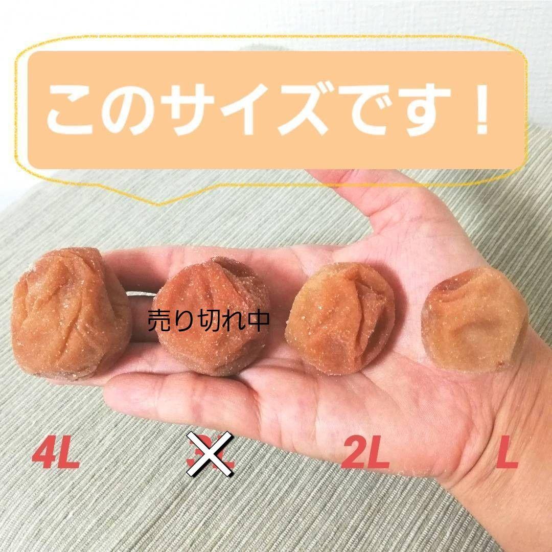 【お得！業務用9kg】天日塩と梅だけの紀州南高梅