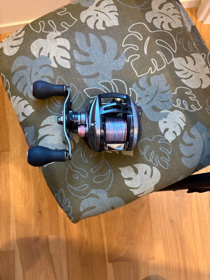 DAIWA 紅牙 100L ベイトリール