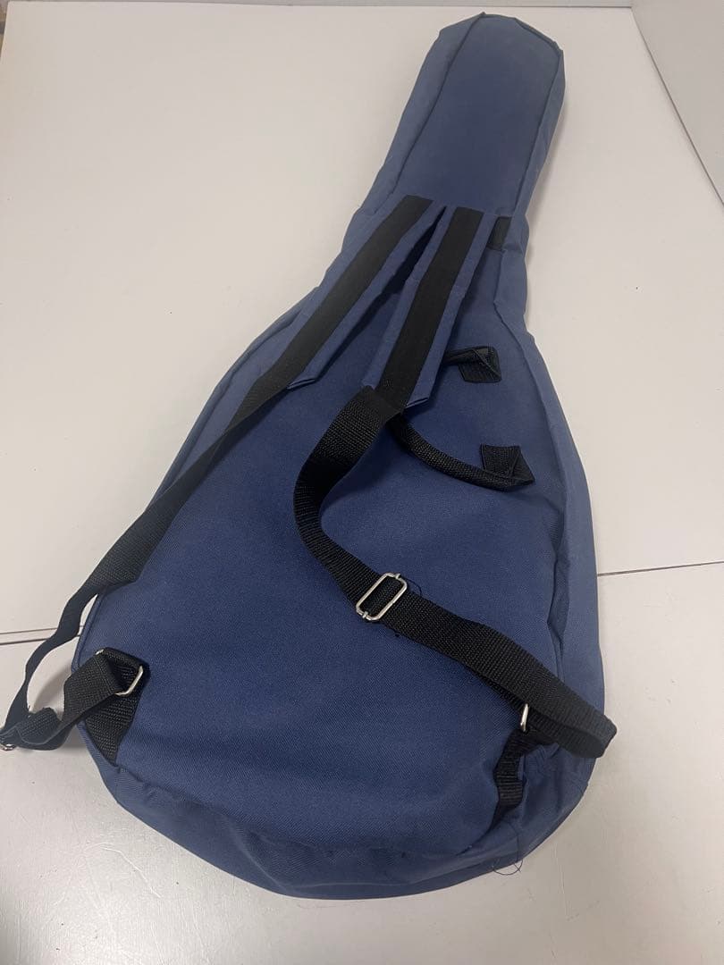 激レア 希少カラー フォトジェニックストラスキャスター HSH 初期型 ケース付