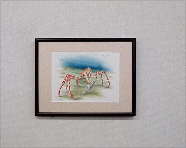 生物細密画画「タカアシガニ」