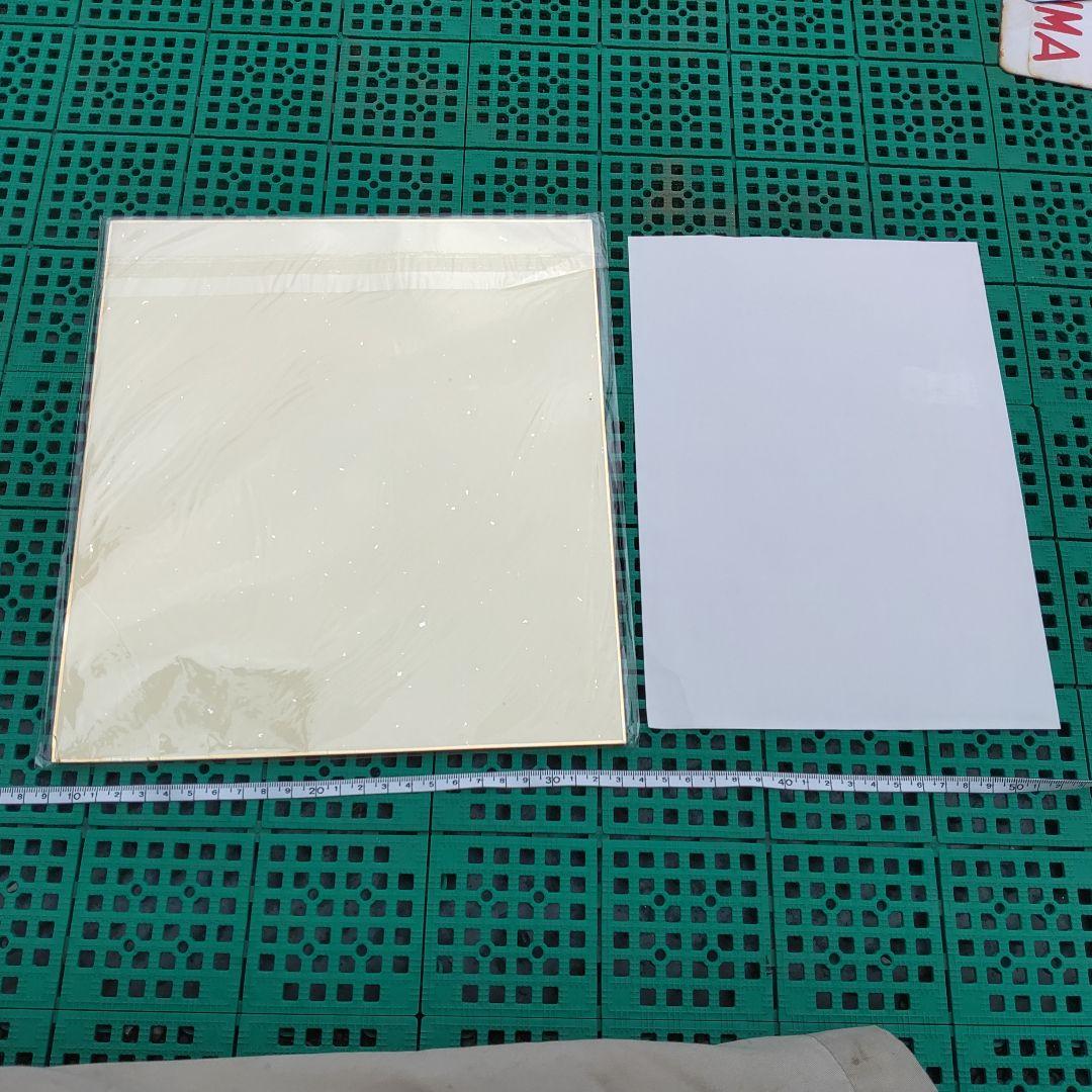 【宝塚歌劇団　瀬奈じゅん】当選品　サイン色紙