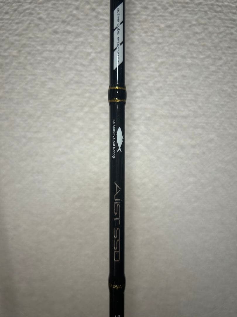 3*K様 テイルウォーク　アジストSSD 510