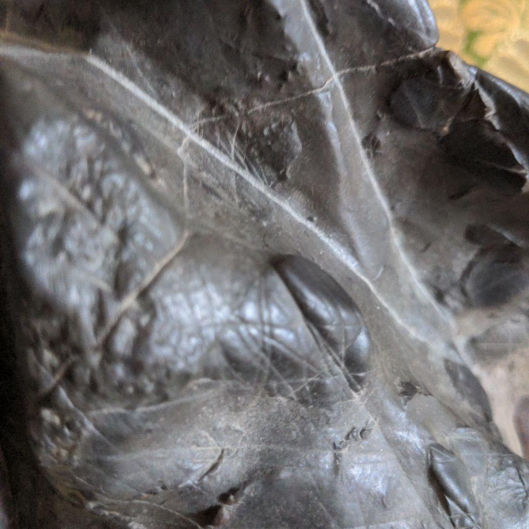 【最終価格】紀州名産古谷石・水石・台座石・鑑賞石