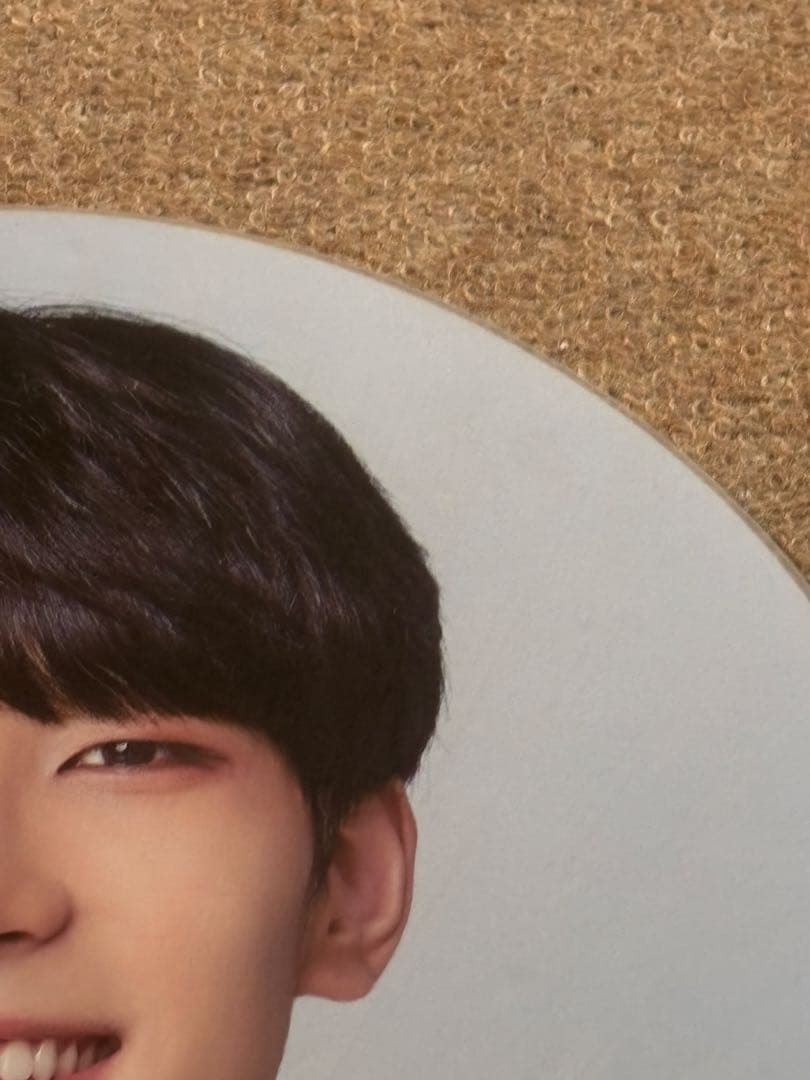 SEVENTEEN ウォヌ IDEALCUT ソウル コン うちわ