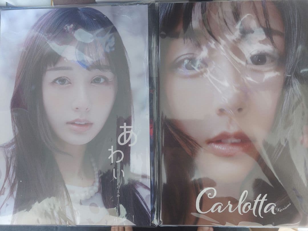 くりえみ 写真集 クラウドファンディング 2冊