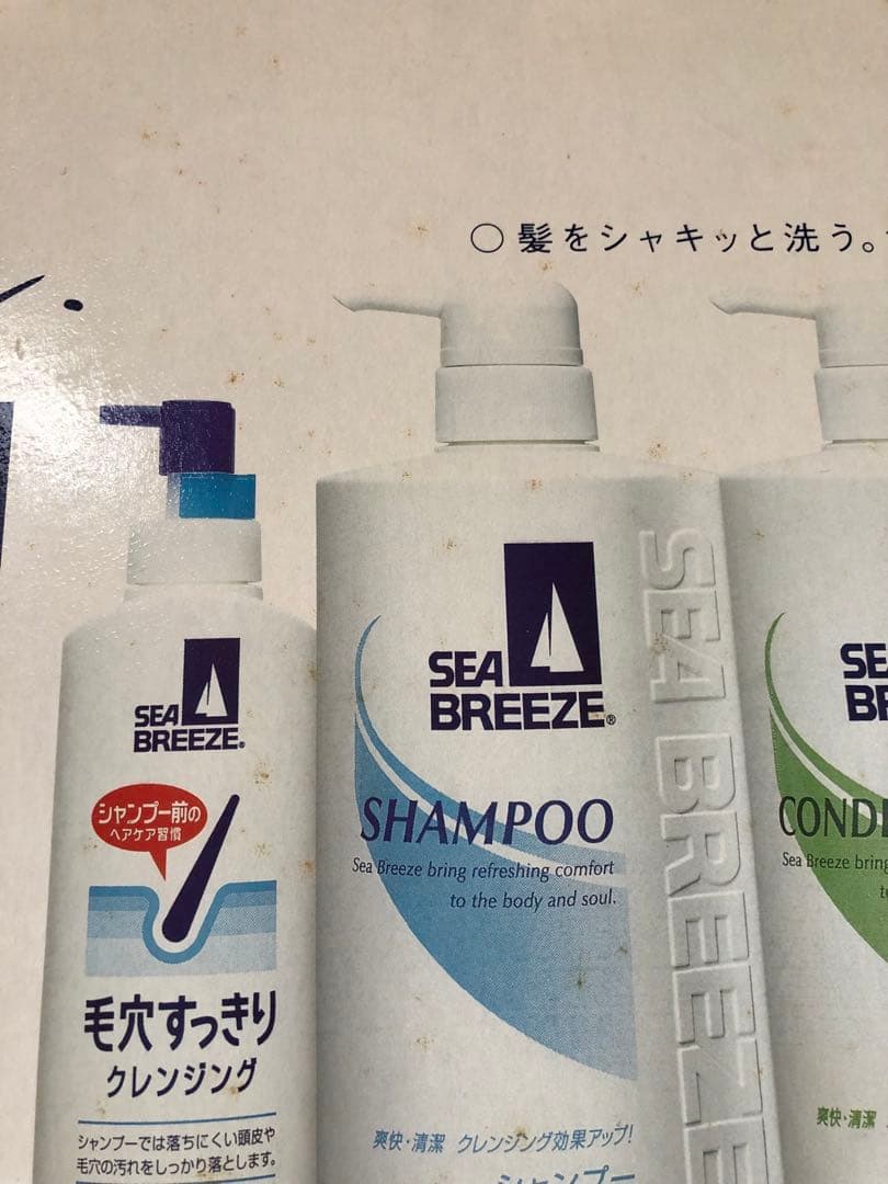 倉木麻衣　店頭販促用限定POP看板 シーブリーズ 非売品