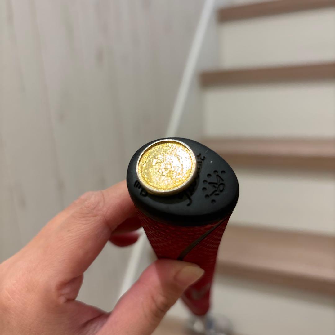 Scotty Cameron Select GoLo パター